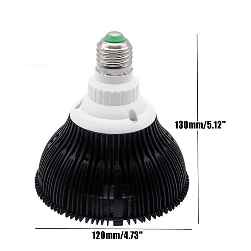 46fdcaf5f8db885a4c4f3e4cfd6f62f1