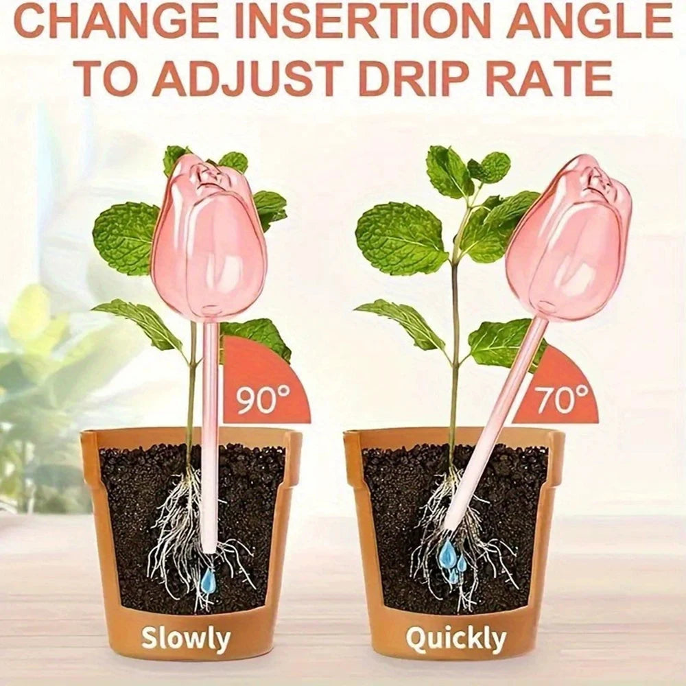 S20d0f96fb388479988d42028a1be008fk