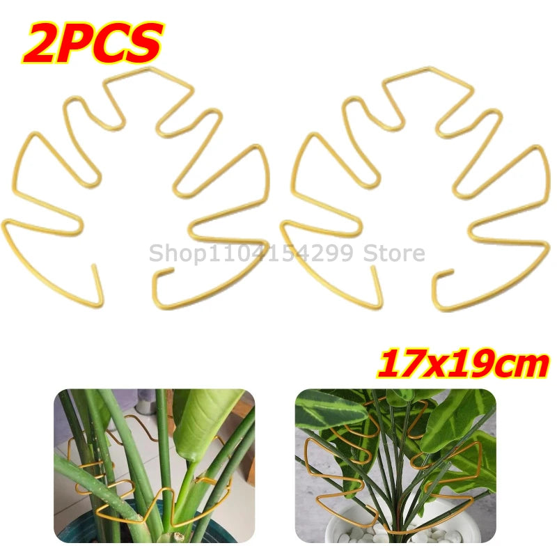 S4aa3bdb229644aed9c3c0cfef17febaeq