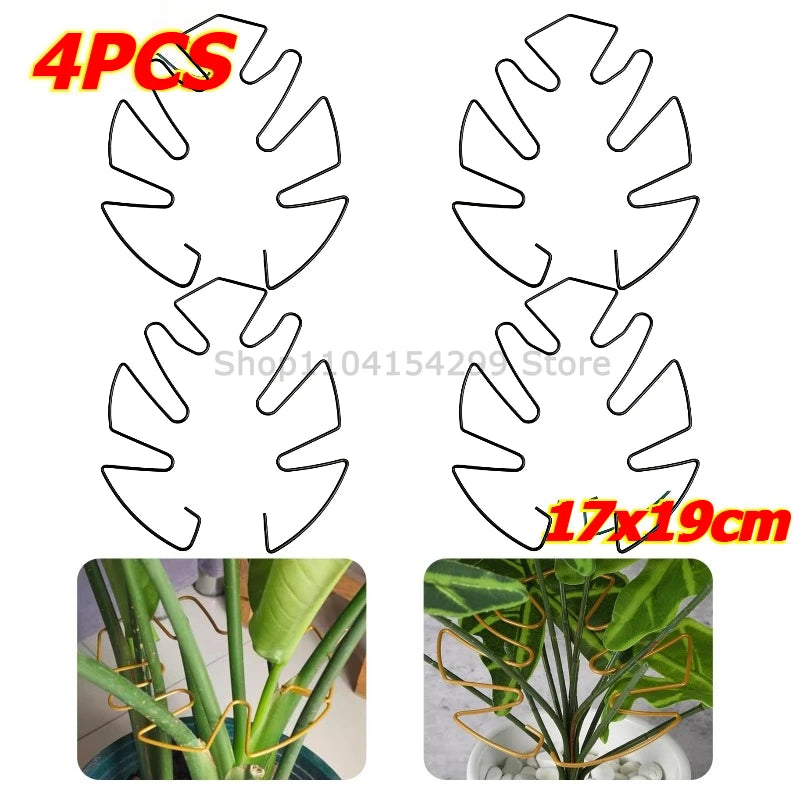 Sd52dc4d82ada44e2a971021021bcf4ccx